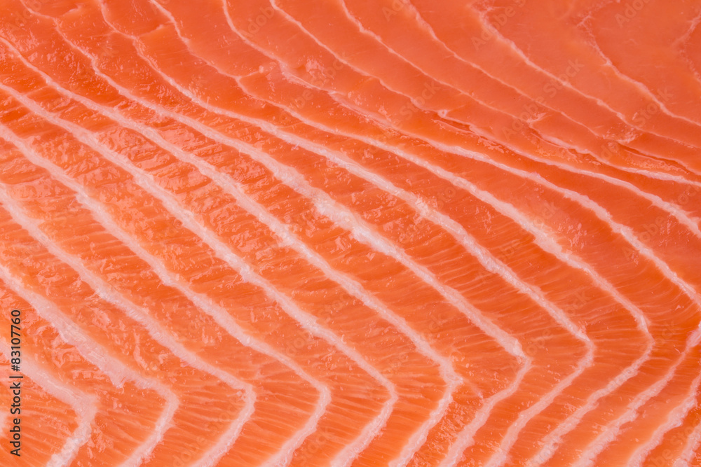 Salmon