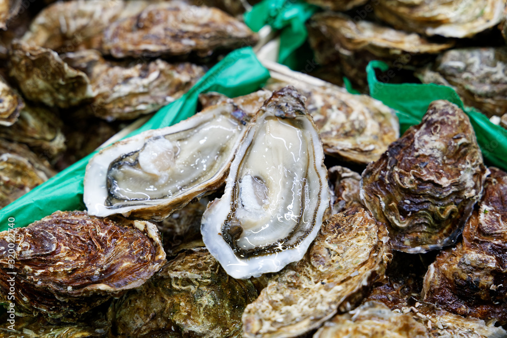 Oysters